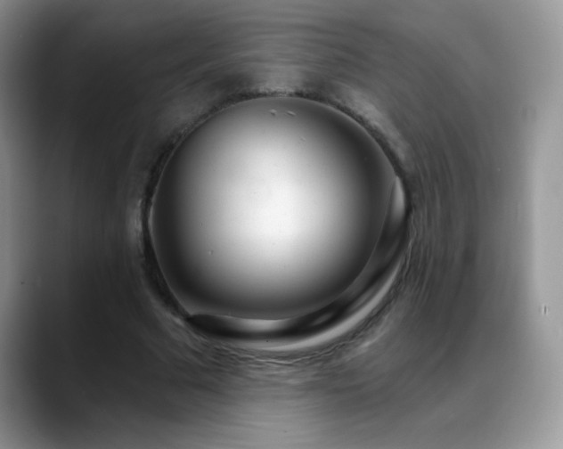 X0000088900681200706081306