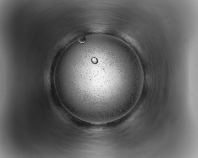 X0000088900682200706081306
