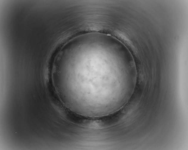 X0000088900683200706081306