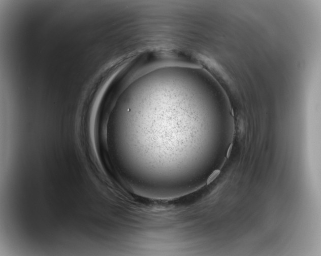 X0000088900684200706081306