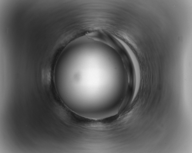 X0000088900685200706081306