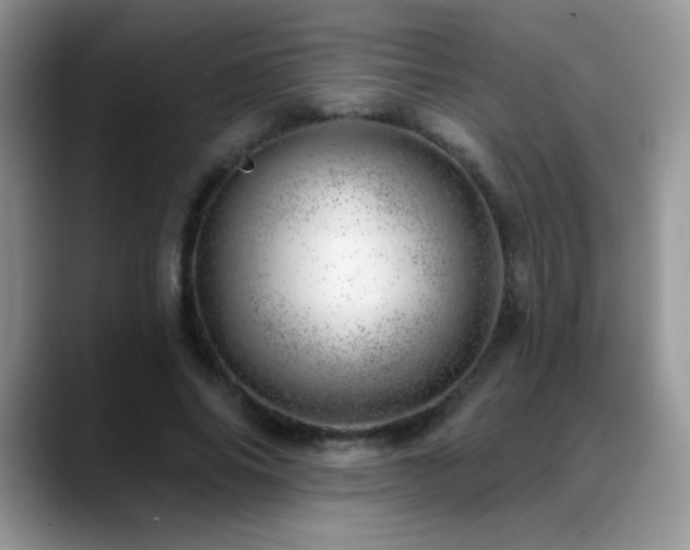 X0000088900686200706081306