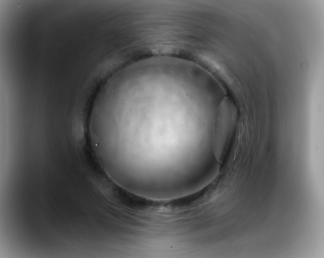 X0000088900687200706081306