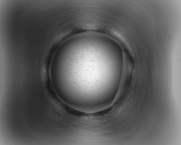 X0000088900688200706081306