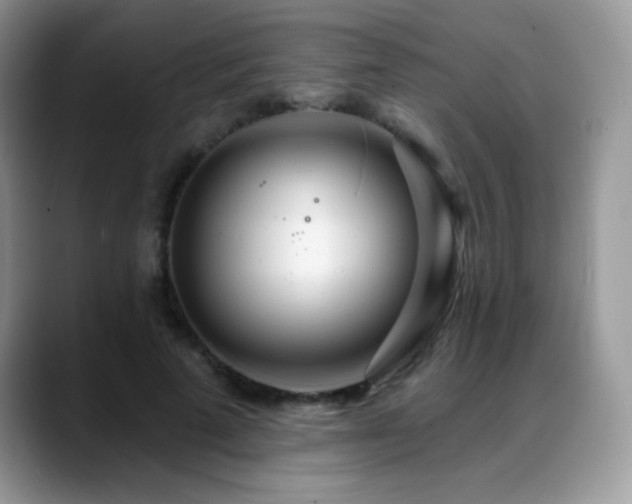 X0000088900689200706081306