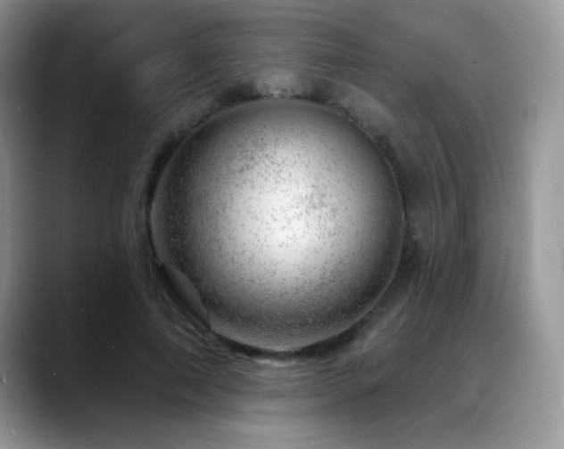 X0000088900690200706081306
