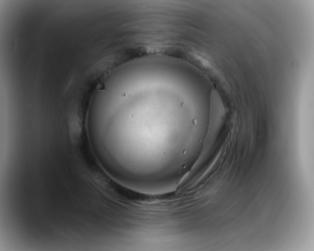 X0000088900691200706081306
