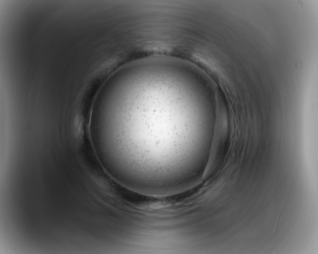 X0000088900692200706081306