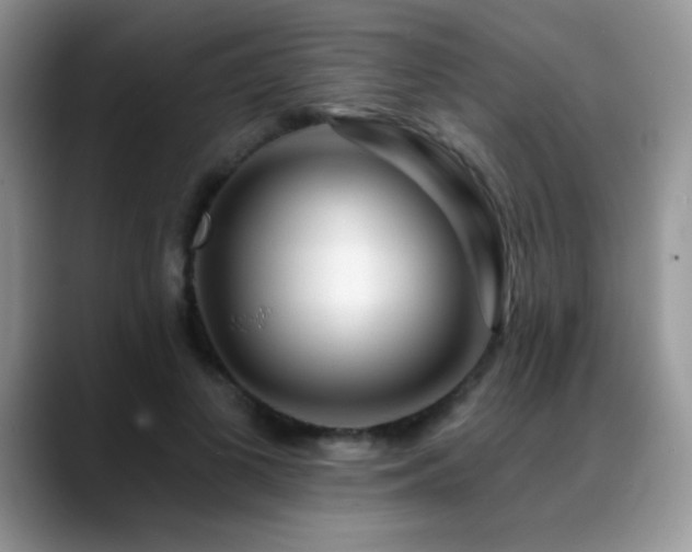X0000088900693200706081306