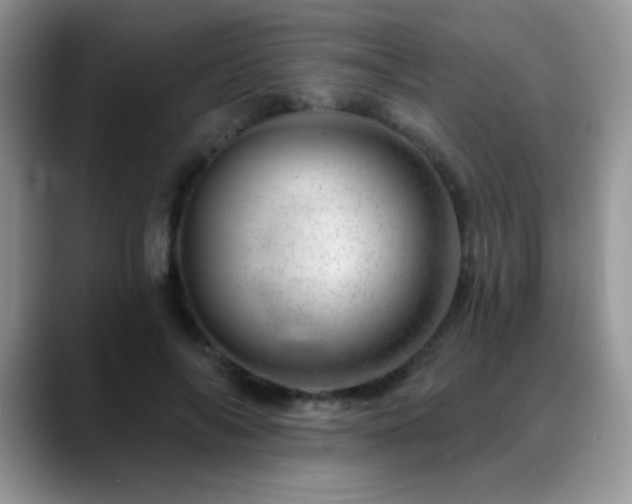 X0000088900694200706081306