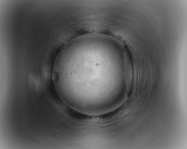 X0000088900695200706081306
