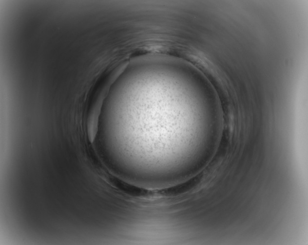 X0000088900696200706081306