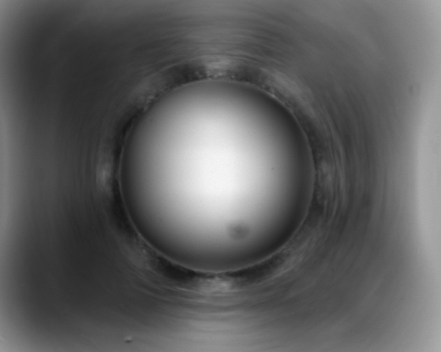 X0000088900698200706081306