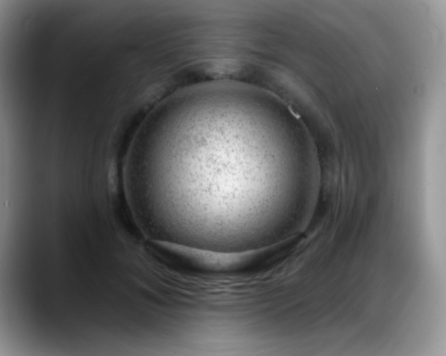 X0000088900700200706081306