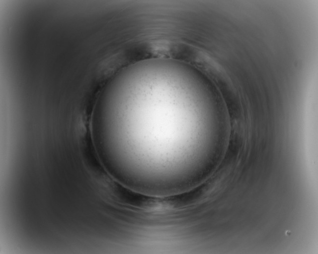 X0000088900702200706081306