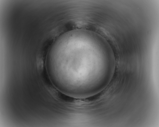 X0000088900703200706081306