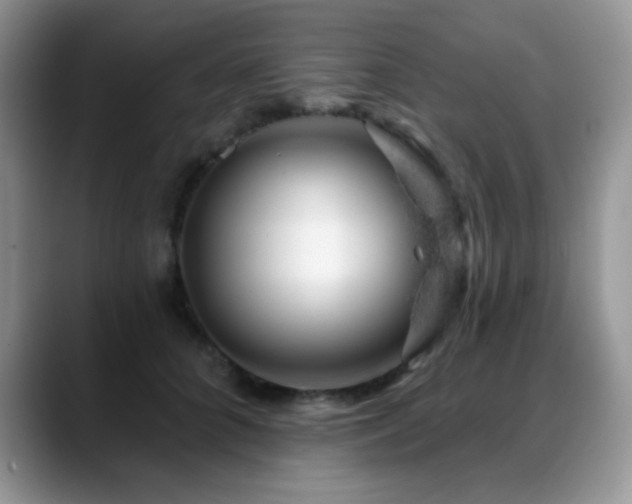 X0000088900704200706081306