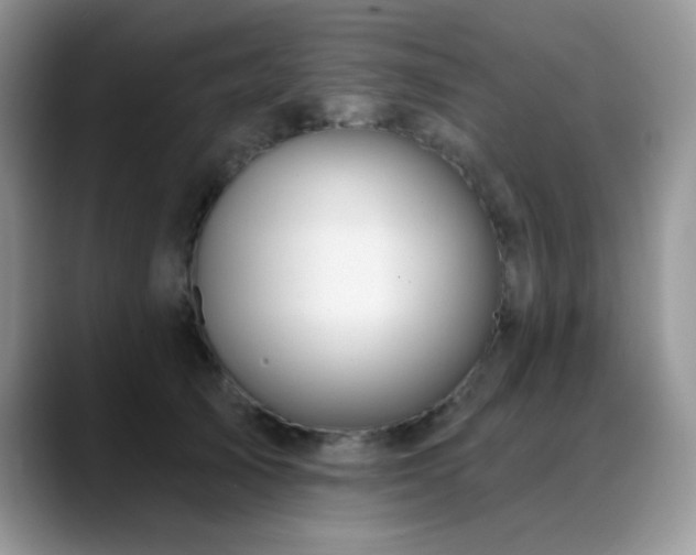 X0000088900705200706081306