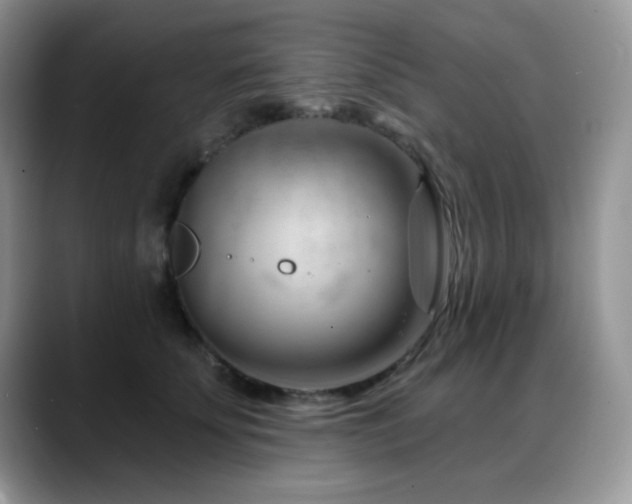 X0000088900707200706081306
