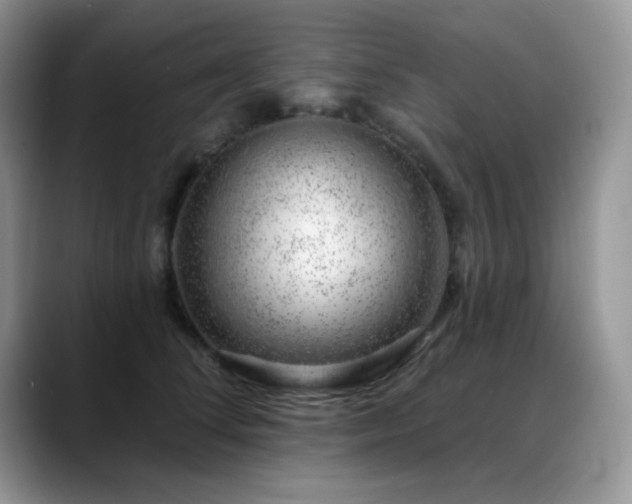 X0000088900708200706081306