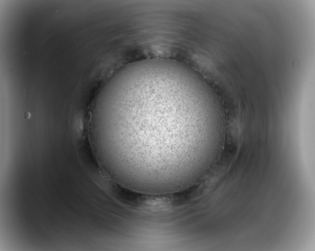 X0000088900709200706081306