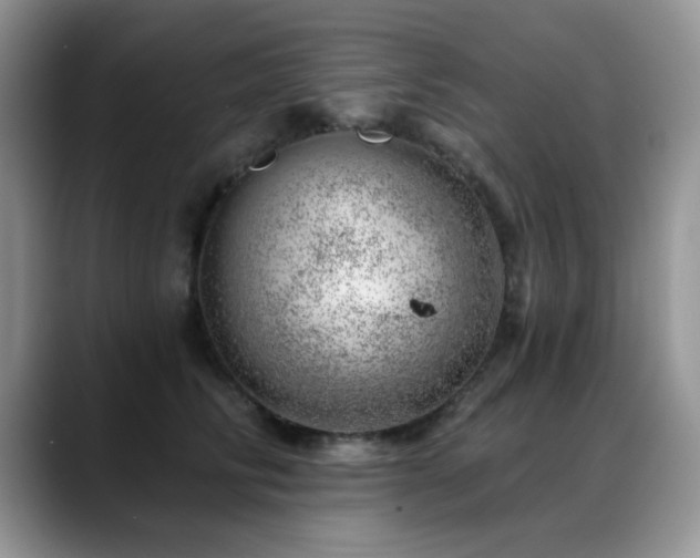 X0000088900710200706081306