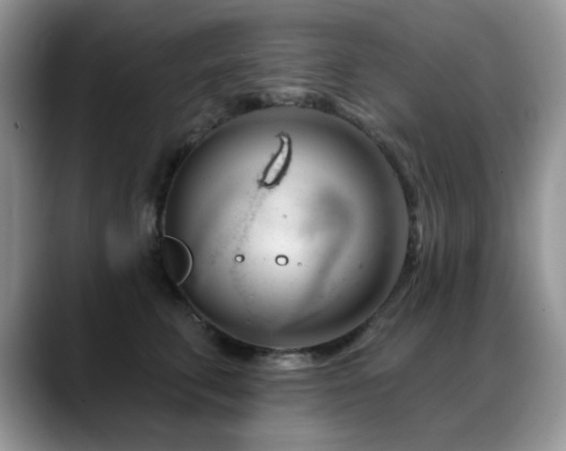 X0000088900711200706081306