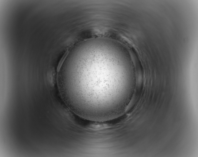 X0000088900712200706081306