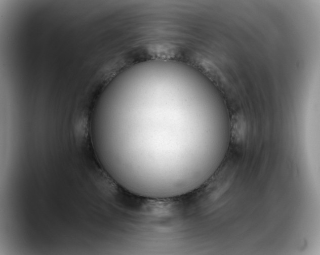 X0000088900713200706081306