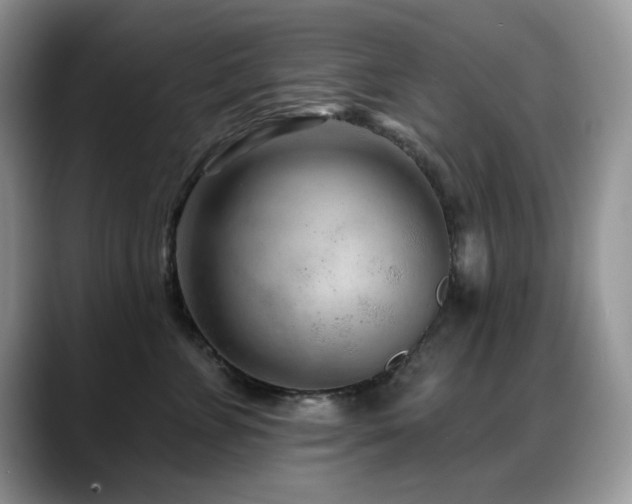 X0000088900715200706081306