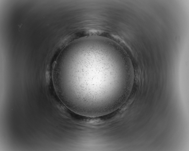 X0000088900716200706081306