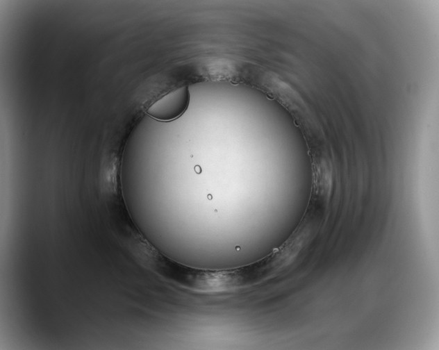 X0000088900717200706081306