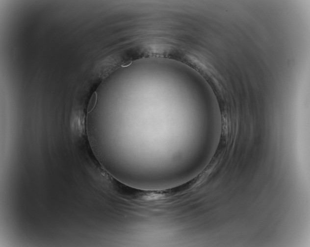X0000088900718200706081306