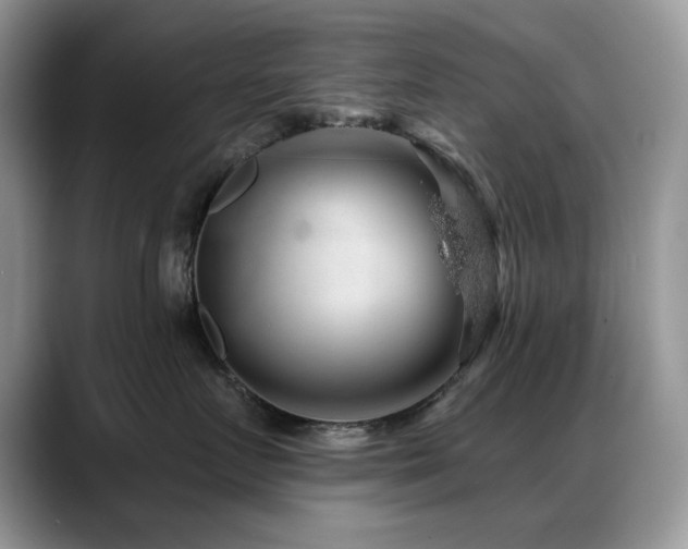 X0000088900719200706081306