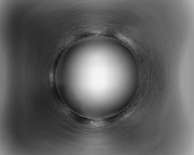 X0000088900720200706081306