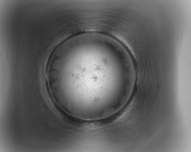 X0000088900721200706081305