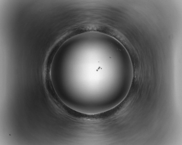 X0000088900722200706081305