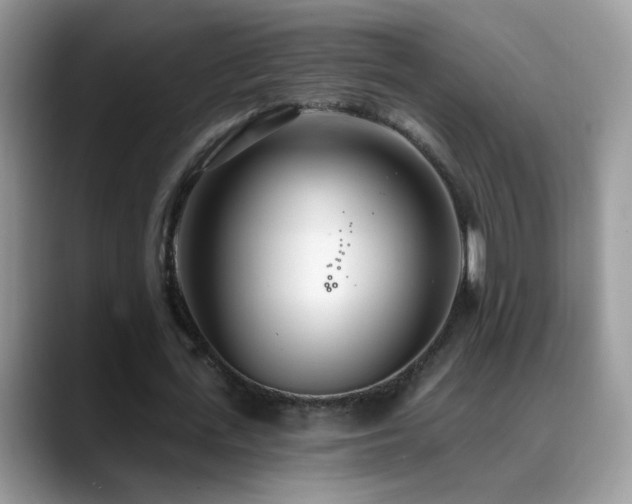 X0000088900723200706081305