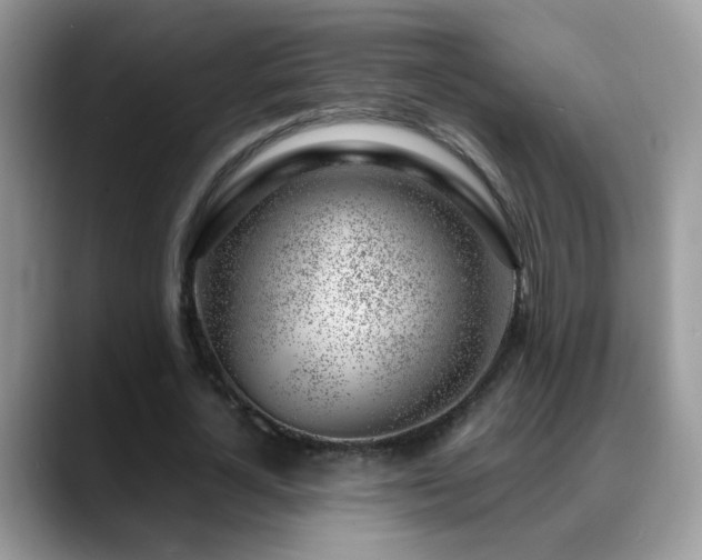 X0000088900724200706081305