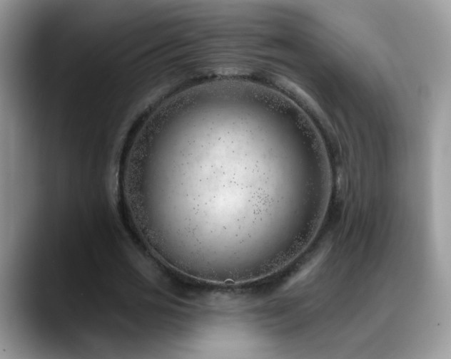 X0000088900725200706081305
