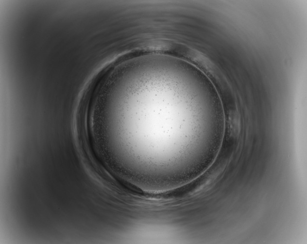 X0000088900726200706081305
