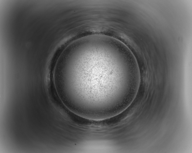 X0000088900727200706081305