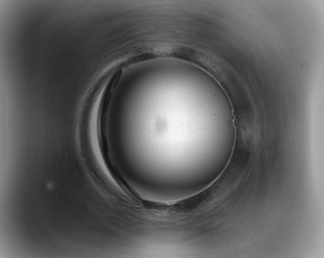 X0000088900728200706081305