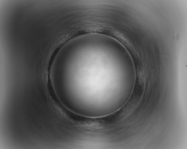 X0000088900729200706081305