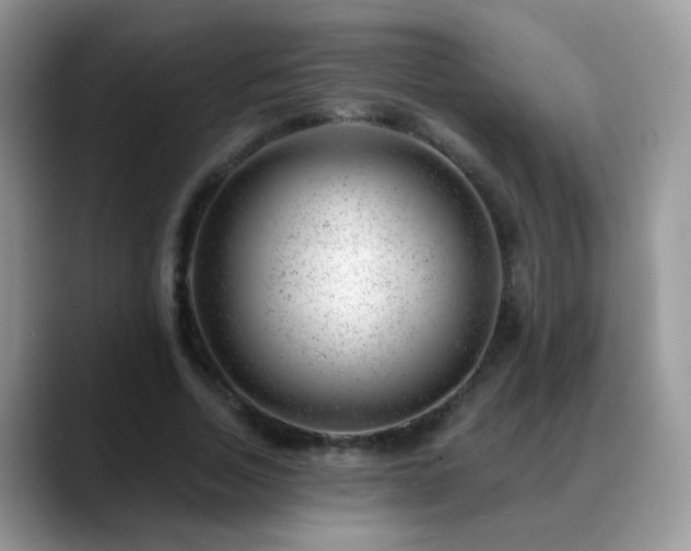 X0000088900730200706081305