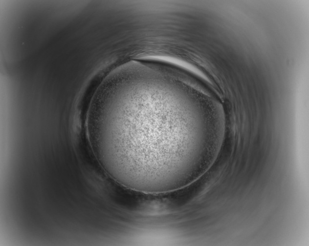 X0000088900731200706081305