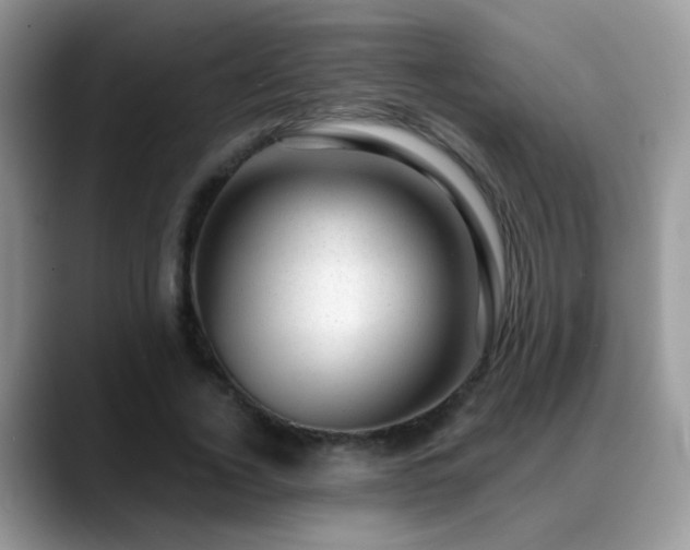 X0000088900732200706081305