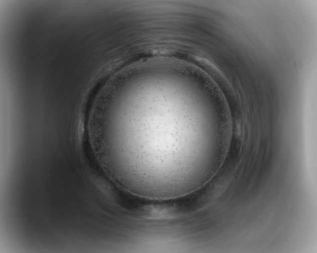 X0000088900733200706081305