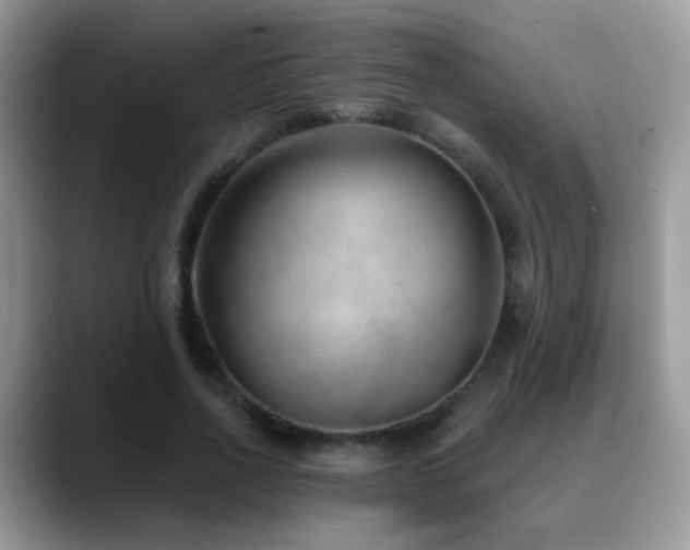 X0000088900734200706081305