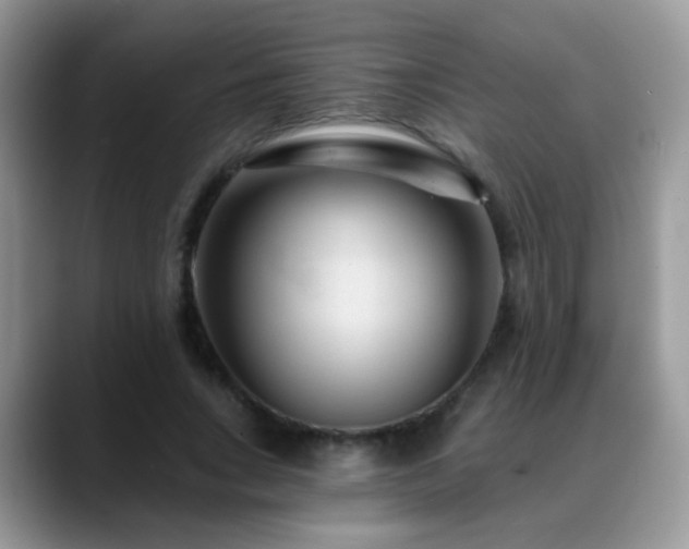 X0000088900735200706081305